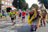 Ganz Münster freut sich auf den Jubiläums-Marathon