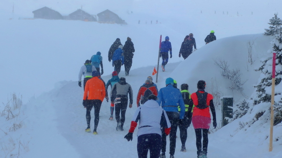 Snow Trail